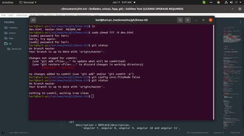 git change file permissions